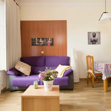 Homestay Vilella *